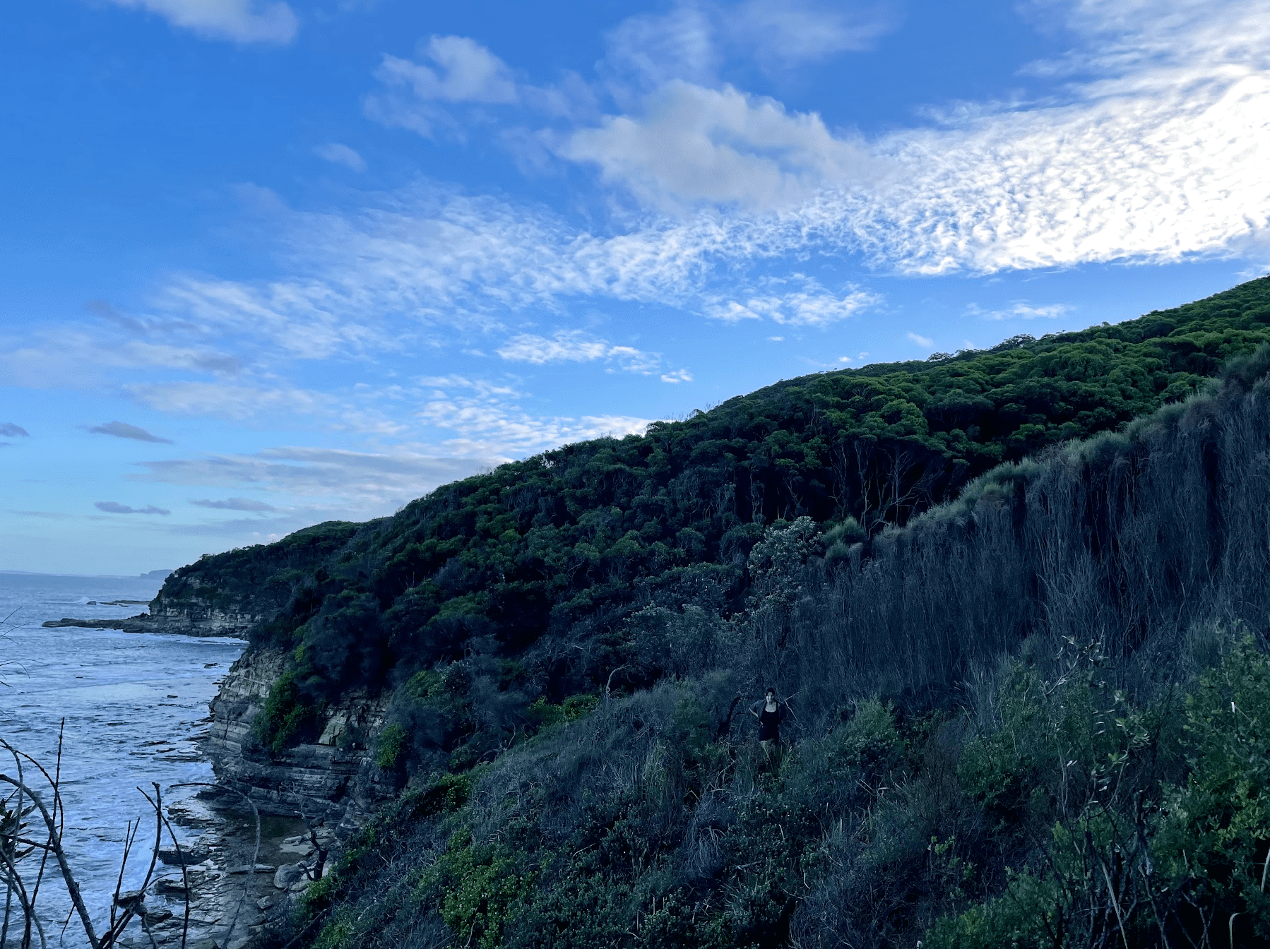 Bouddi National Park camping Coastal Walk​
