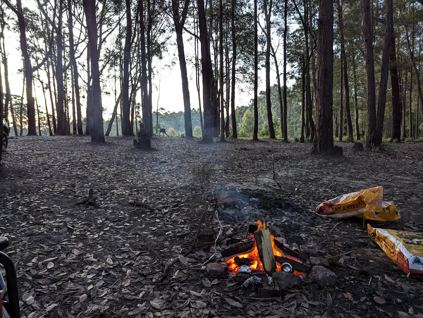 Camping in Hunter Valley: Casuarina Camping Area – Telegherry Forest