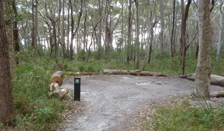 Meroo Head Campground on our Sydney to Melbourne Road Trip