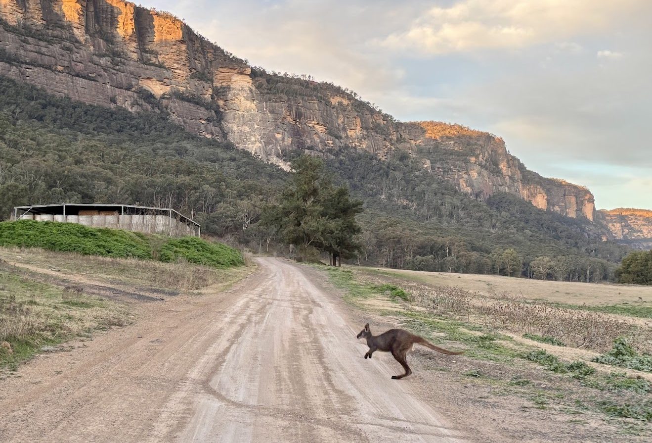 Access Road to Coorongooba campground​