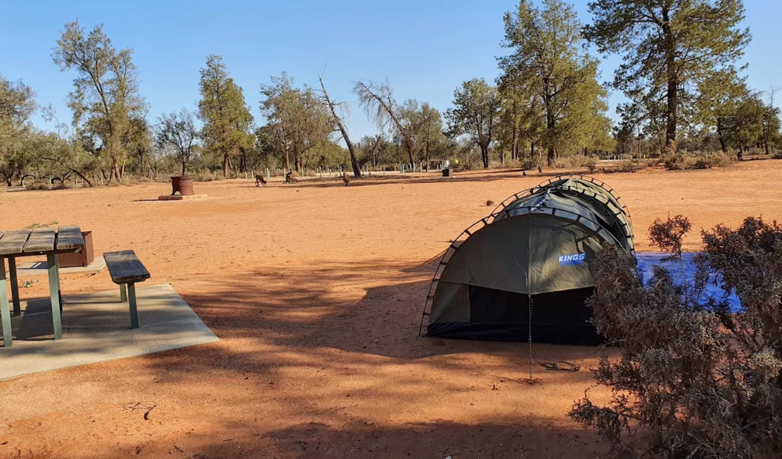 Kings swag at camping area at Mungo NP Main Campground