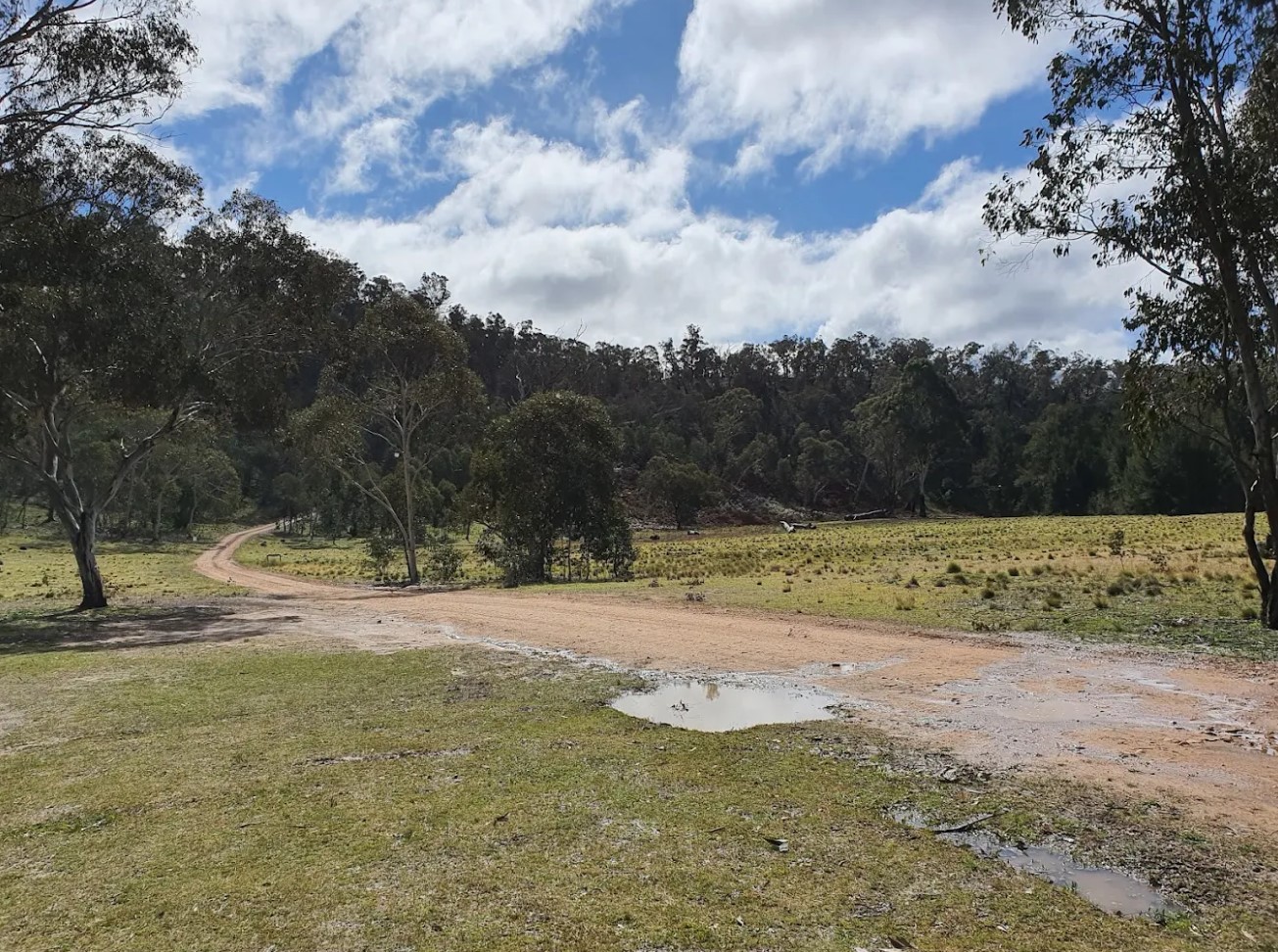 Camping area with through road at Woolshed Flat Campground