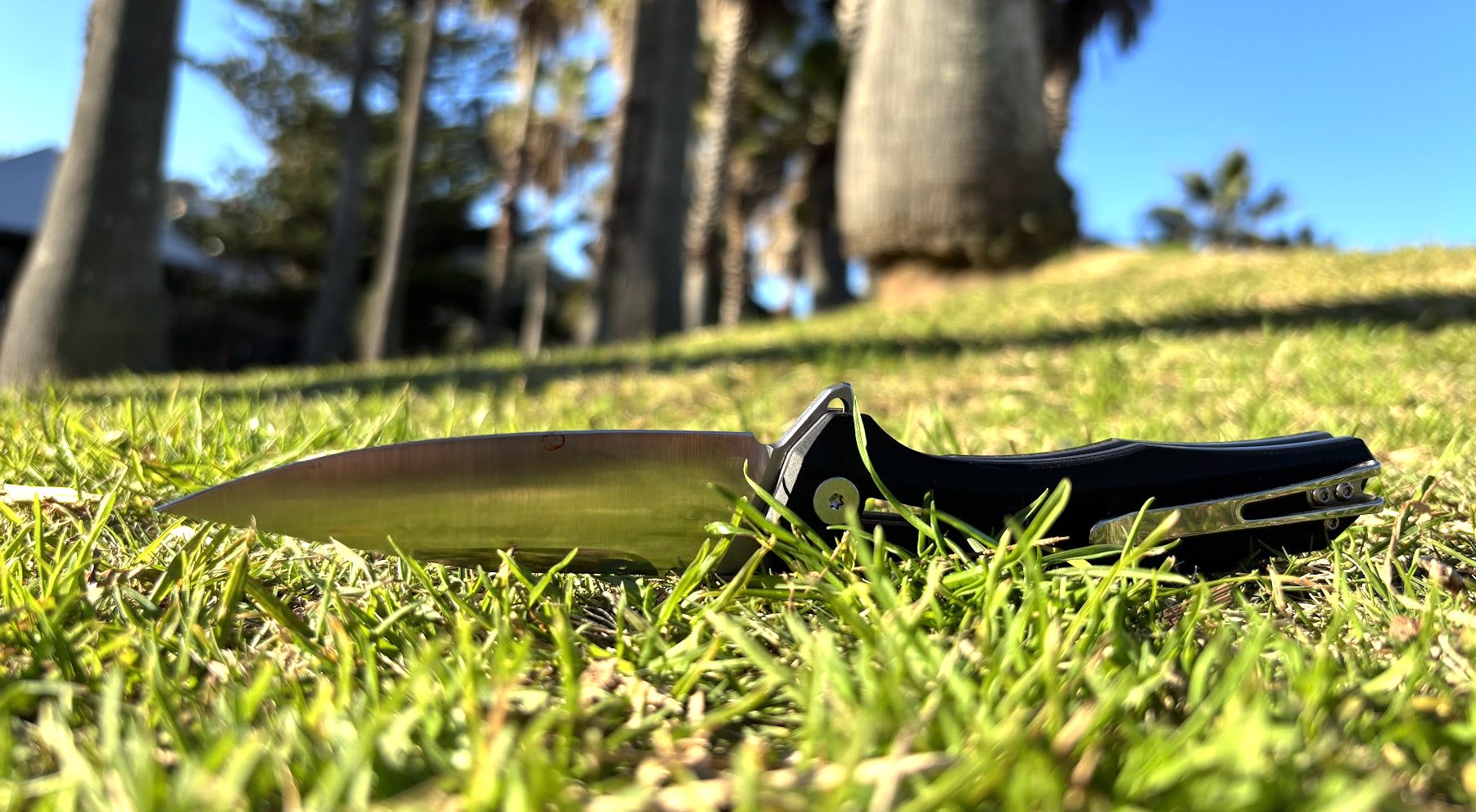440B stainless steel blade of this G10 folding knife