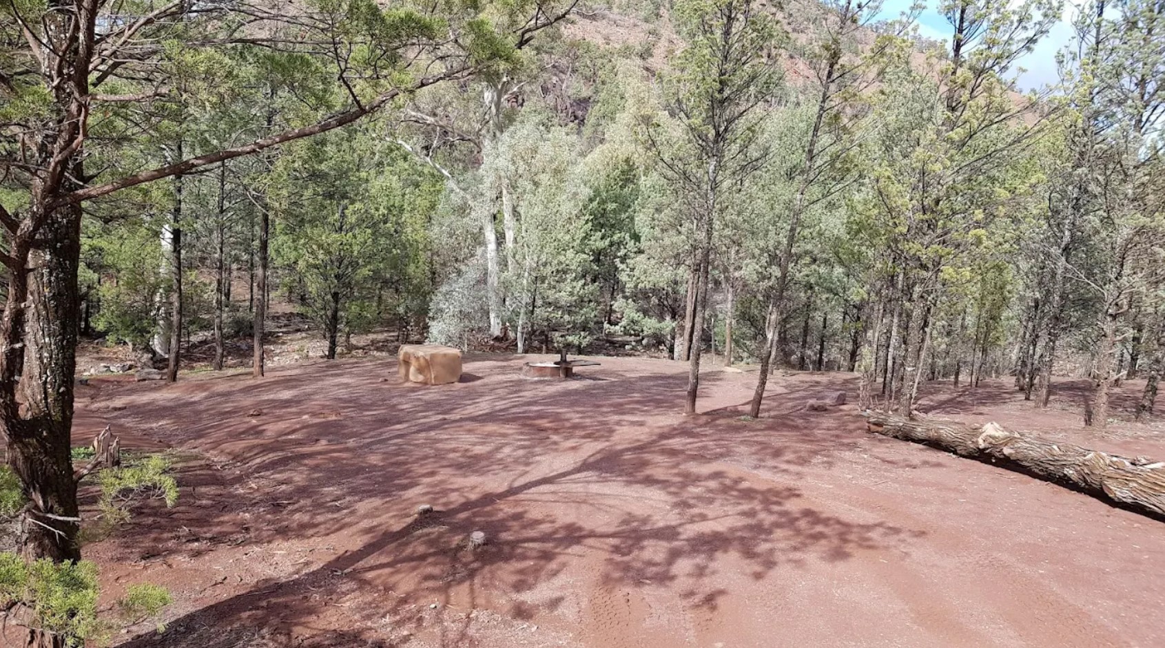 Designated camping spot with firepit at Acraman Campground