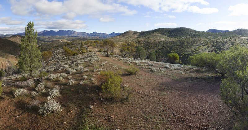 Ridgetop view in the Flinders Ranges nearby Acraman Campground