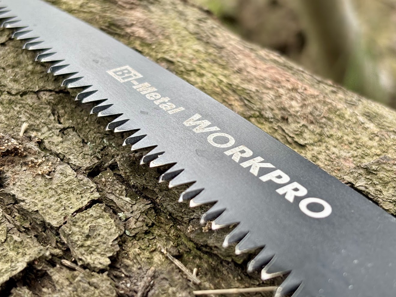 The black finish of the Workpro folding camp saw adds rust protection