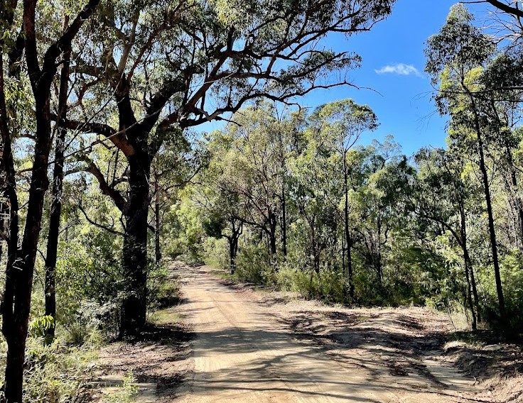 Unsealed Finchley Track on the way to Finchley Campground​