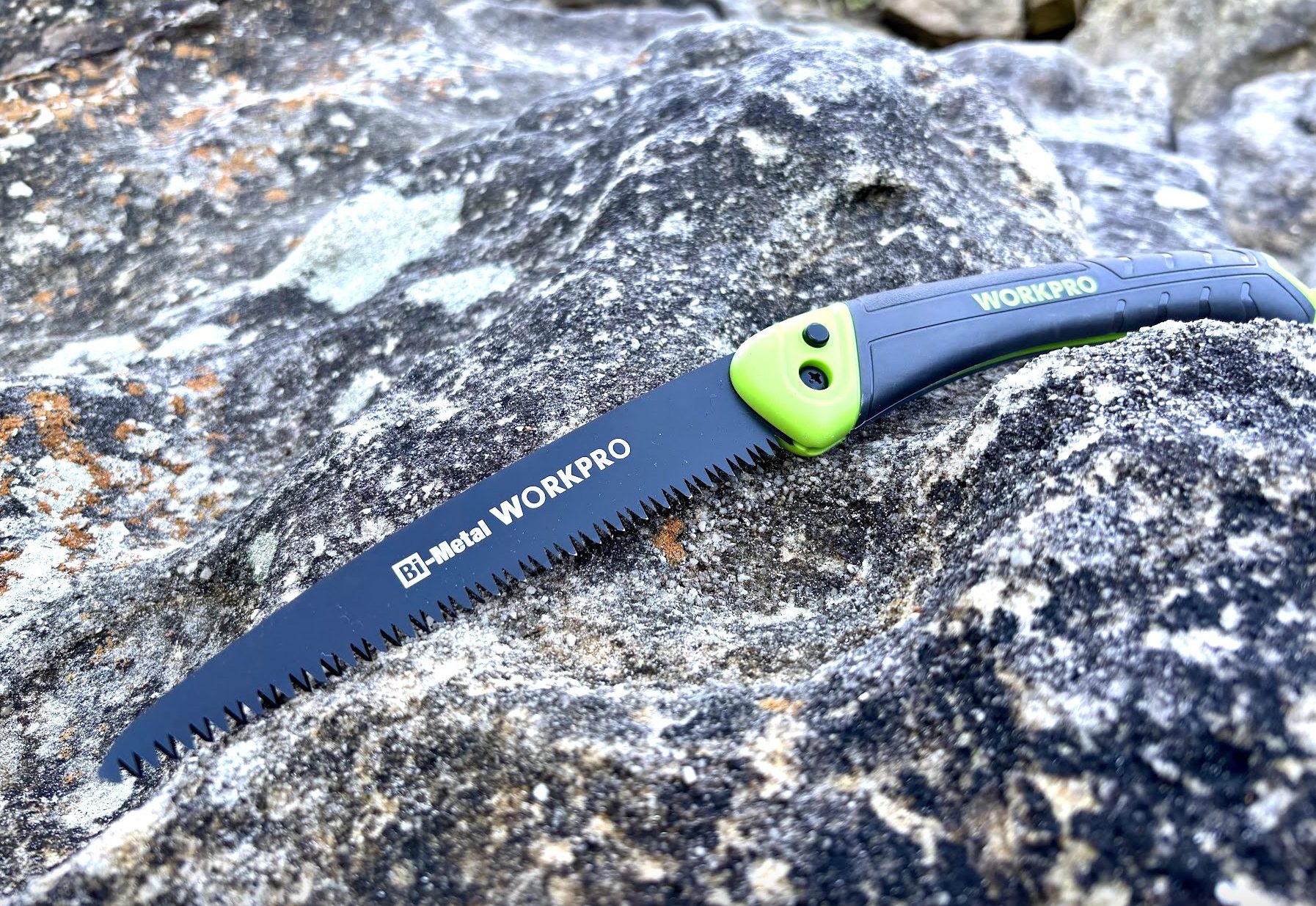 Reviewing the WORKPRO folding camp saw