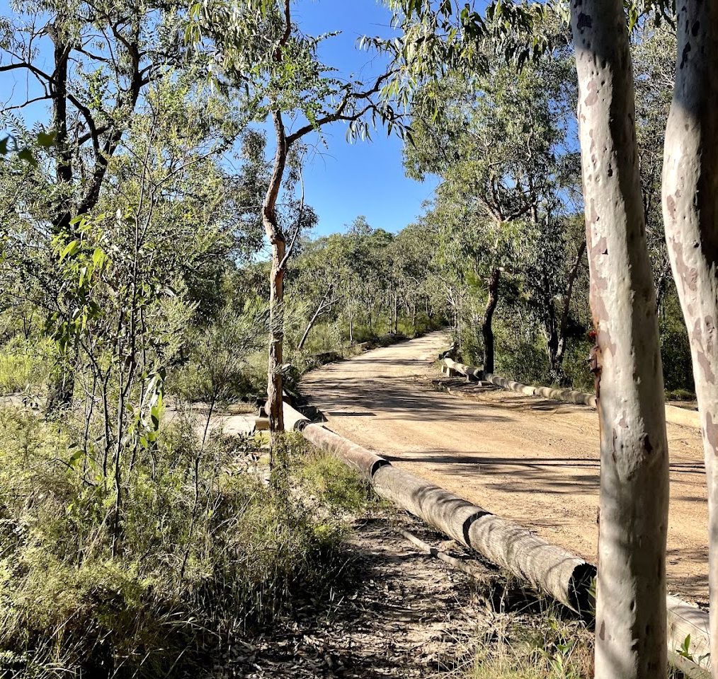 Access Road to Finchley Campground in Yengo National Park