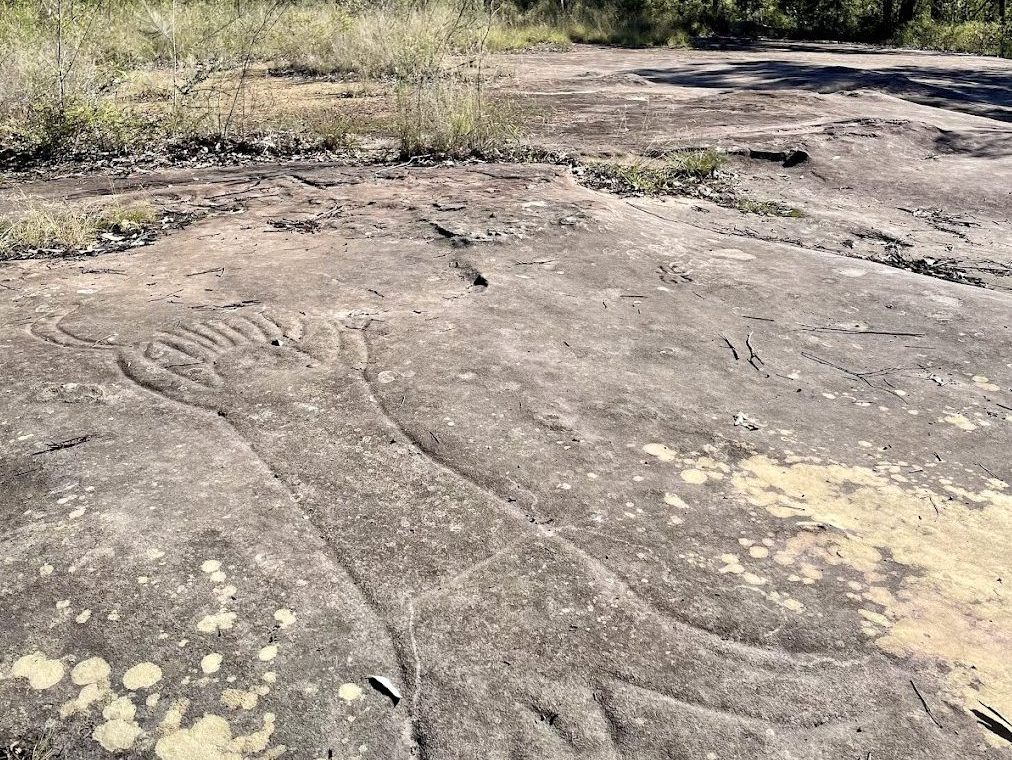 Aborignal rock engravings nearby Finchley Campground