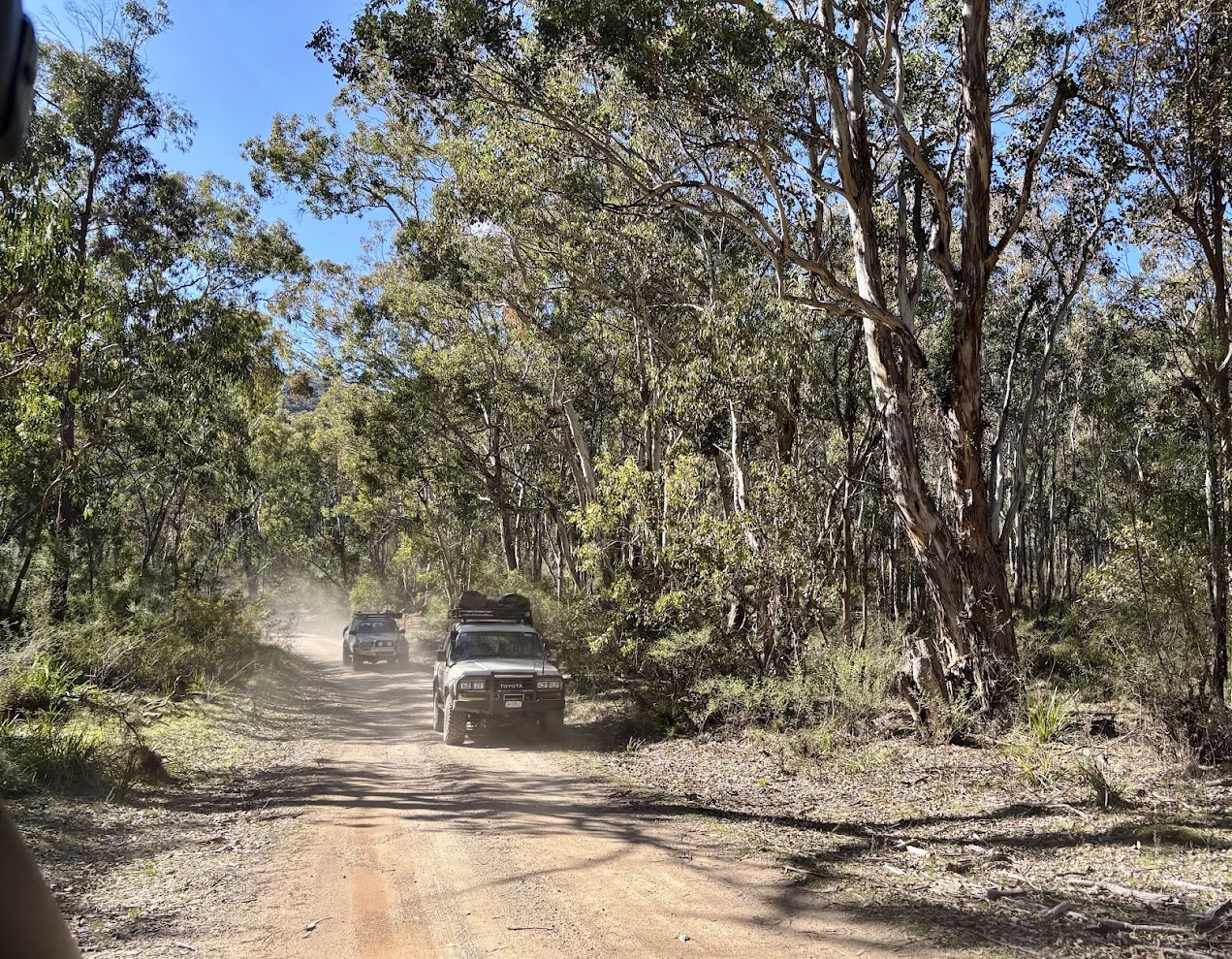Airly Gap Trl on the way to Mount Airly camping area​