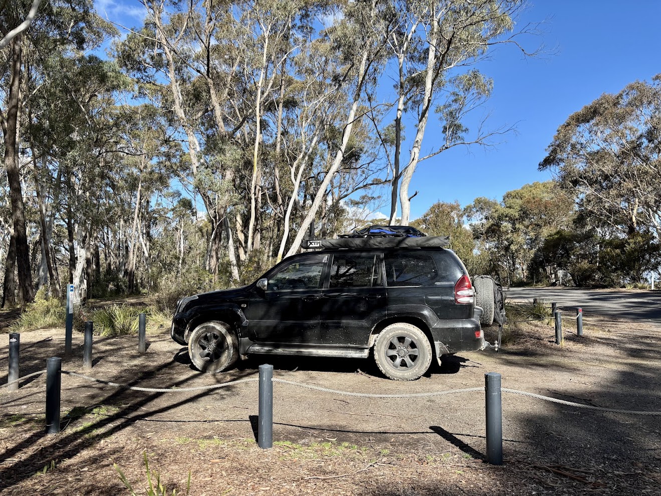 Camp area at mt york campground