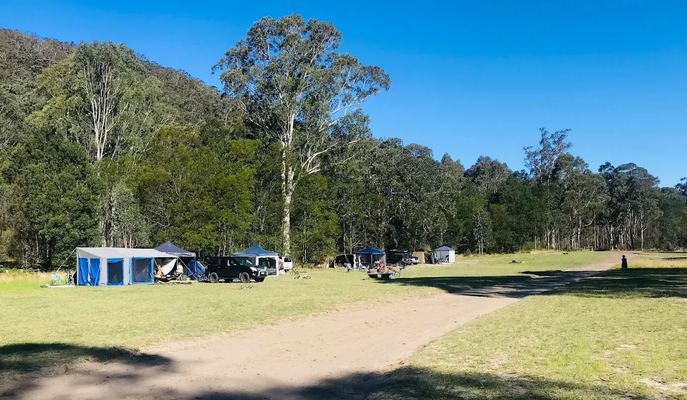 Camping field at Burralow Creek Campground