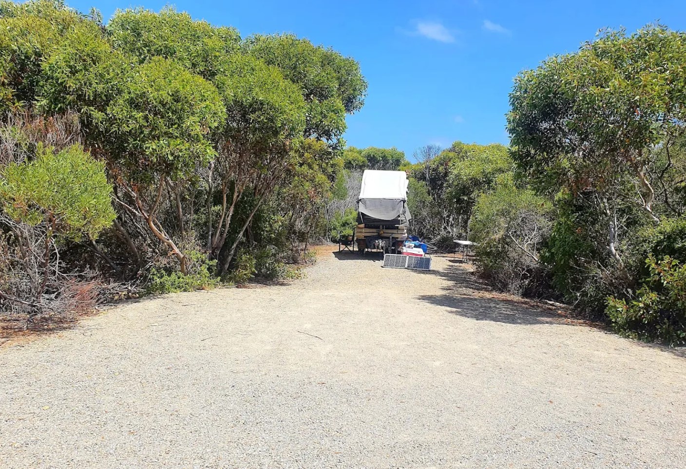 Camping spots at Four Mile Campground​