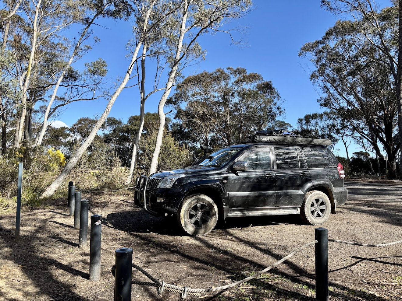 Car camp parking bays at mt york campground