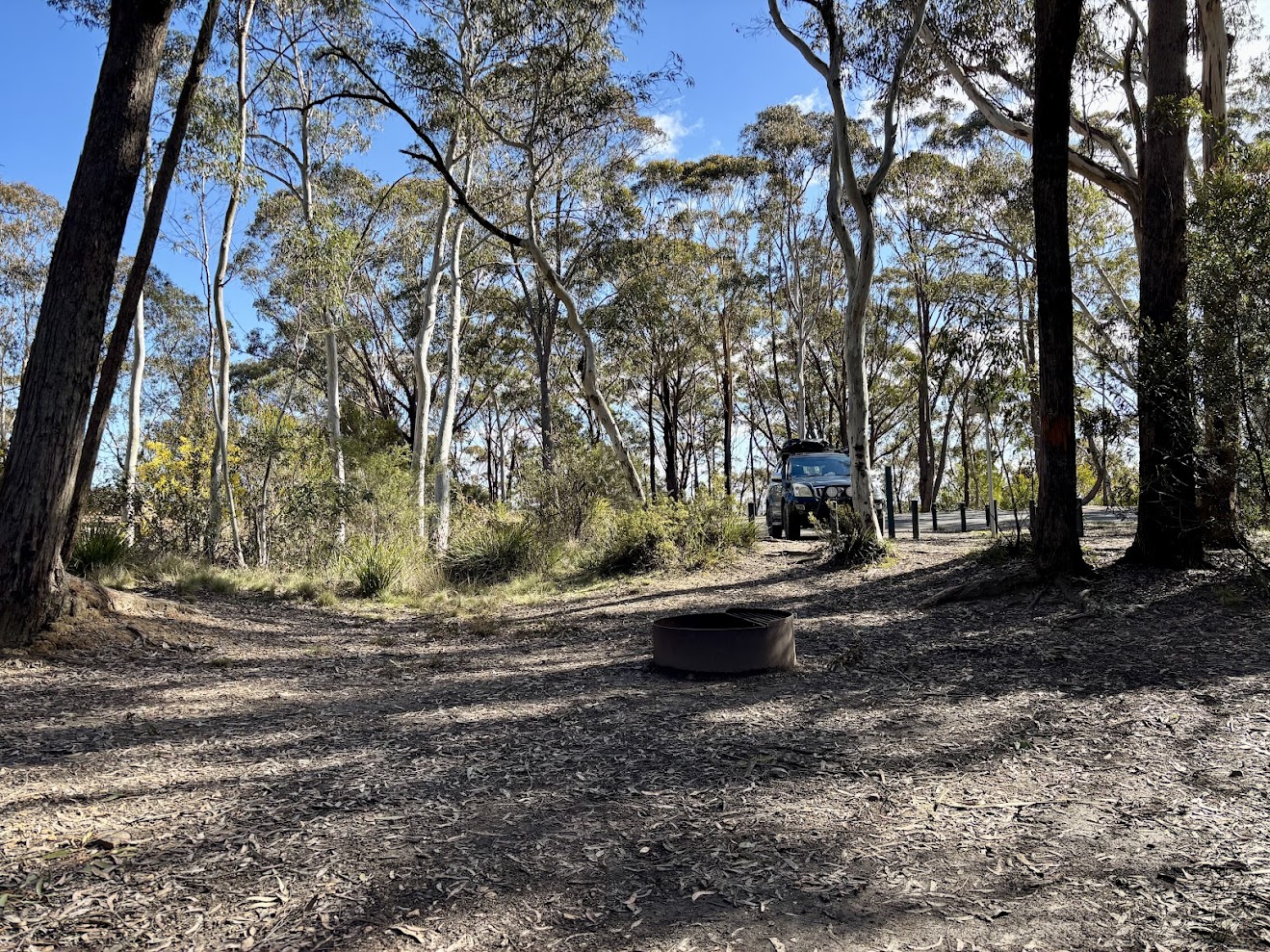 Firepit and camp area at mt york campground