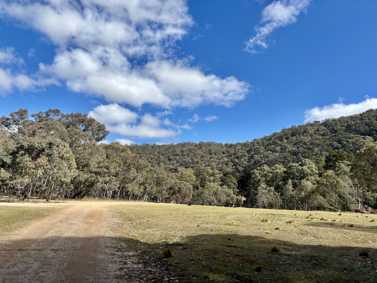Open Grass Area at the Diggings Campground​