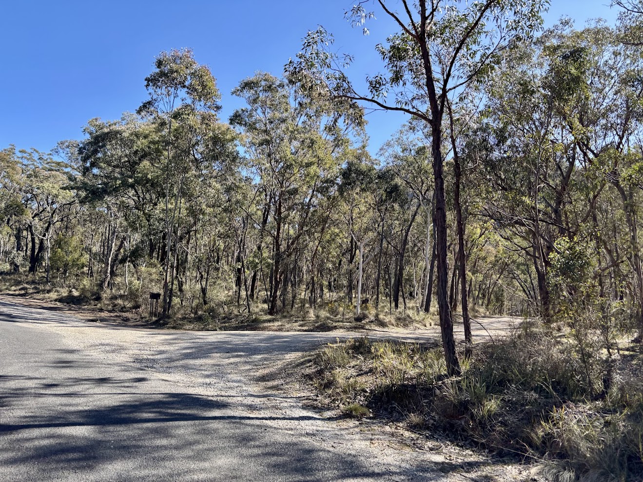 Turn from Glen Davis Rd onto Airly Gap Trl to reach Mount Airly camping area​