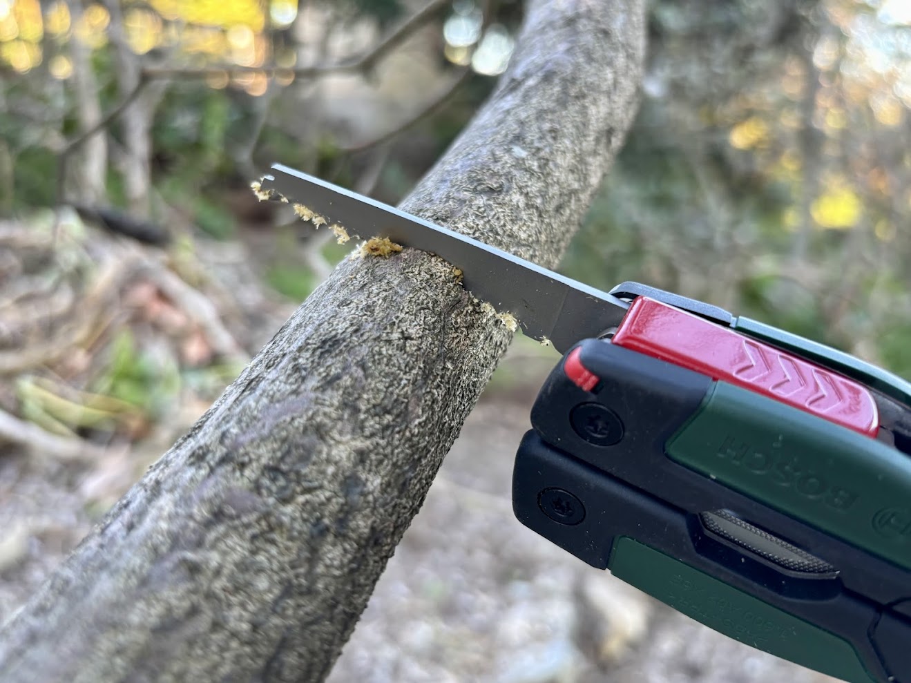 A very useful feature of the Bosch multitool is the saw, which makes short work of small branches for kindling.