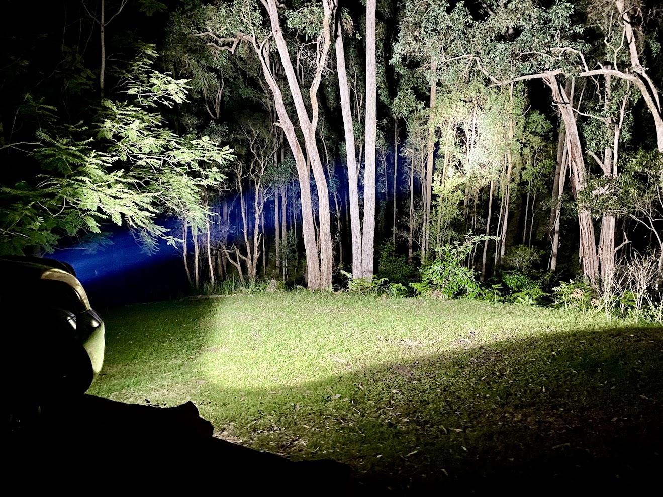Testing the 4WD spot lights on a camping trip in the Hunter Valley