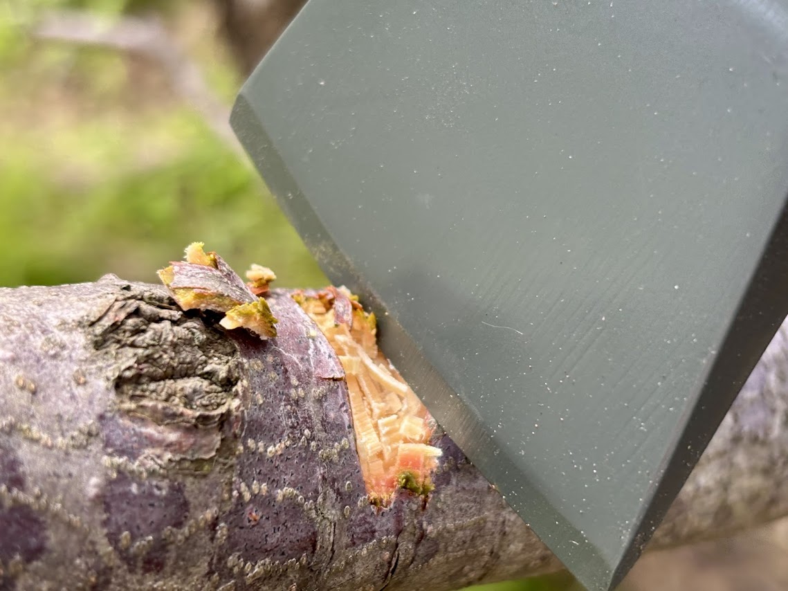 Using the Bush Tracks Z9 hatchet axe for cutting away small branches