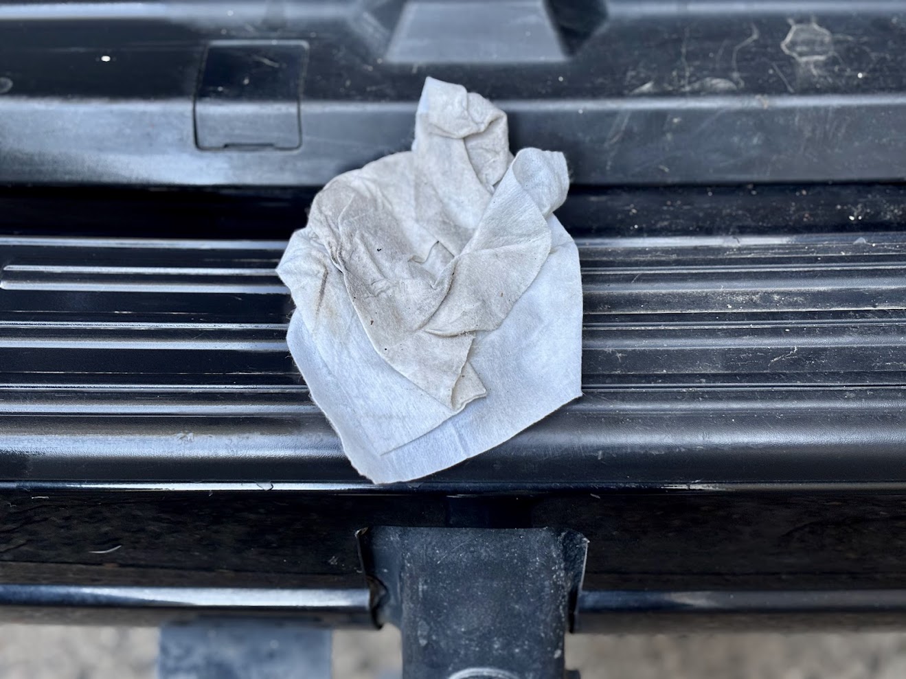 Wilderness wipes don't tear easily, even after extensive car cleaning