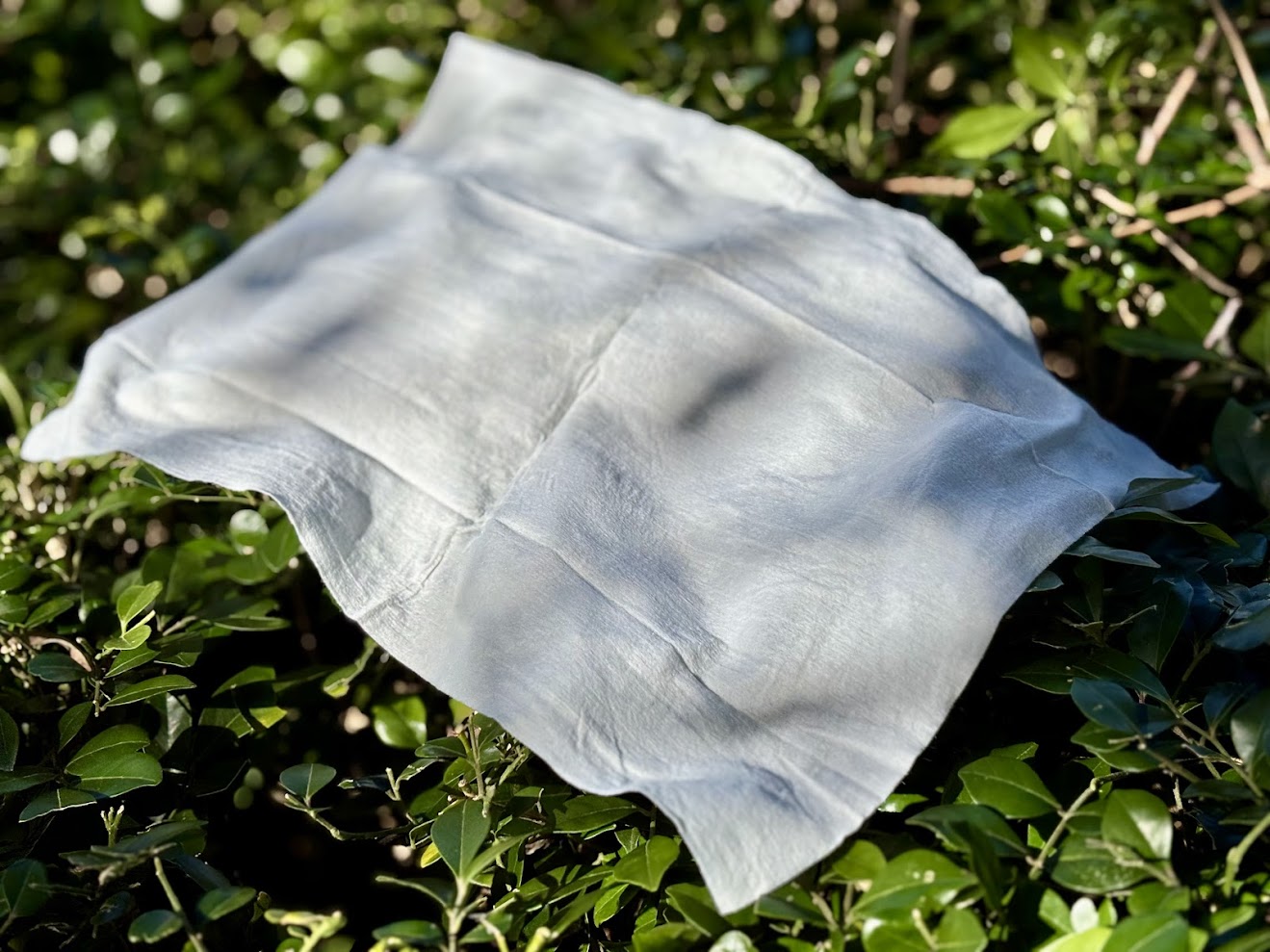 Wilderness wipes have a good amount of moisture without being dripping wet