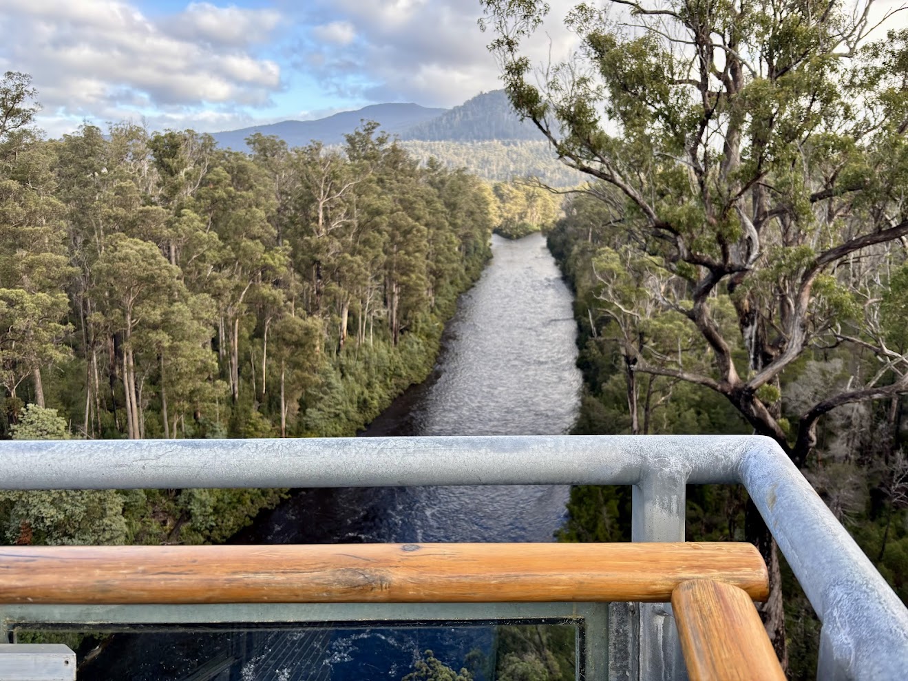 A viewing point at the end of the​ Tahune Airwalk providing a great view over the Huon River