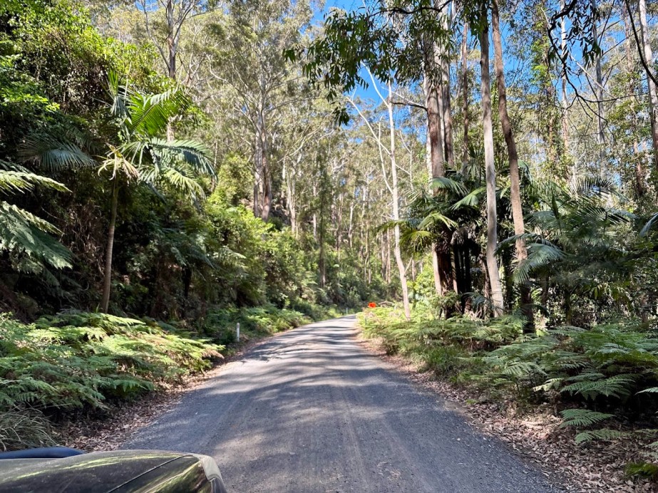 The Heaton Picnic Area Lookout near the Olney State Forest is known for its diverse eucalypt and rainforest pockets