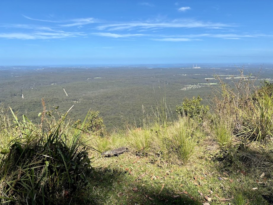 The Heaton Picnic Area Lookout offers a spectacular panorama, sweeping across the hinterland, Lake Macquarie, and out towards the distant coast