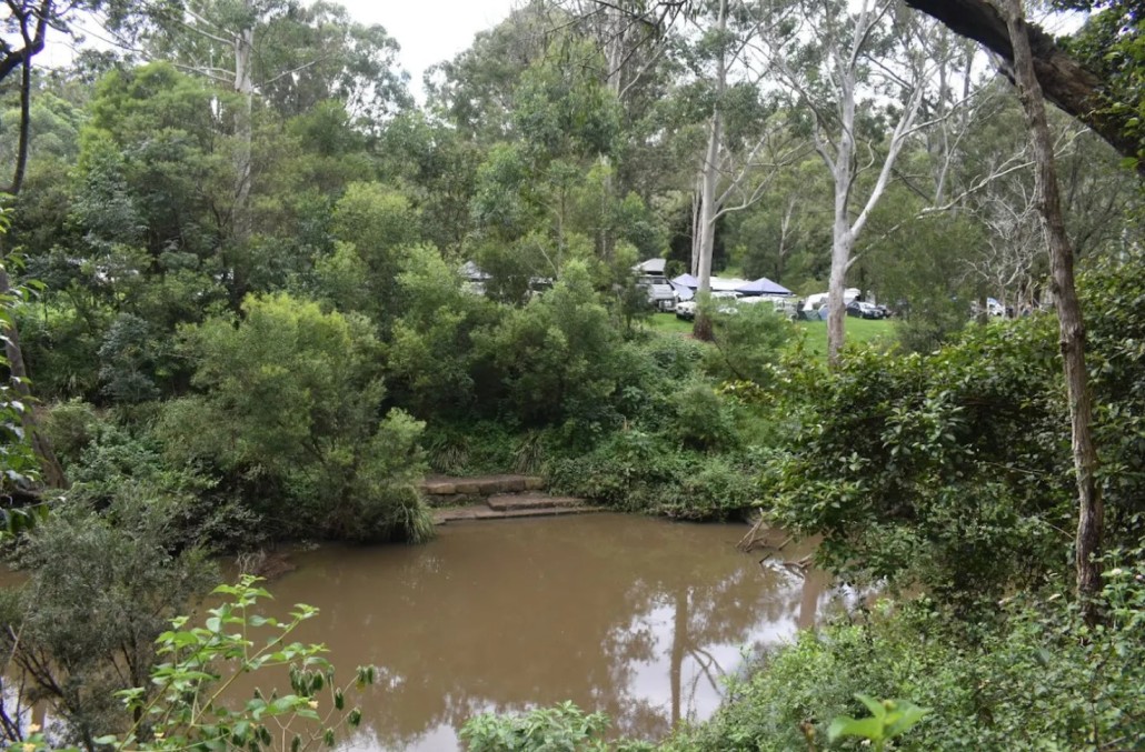The Peach Trees campground is positioned perfectly alongside Yabba Creek providing easy access for a refreshing dip or an hour of platypus spotting at dawn or dusk