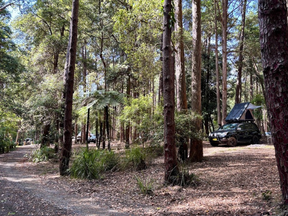 The deep bush setting, dirt road access, and lack of mobile signal at the Pines campground Watagans transport you straight into an off-grid headspace