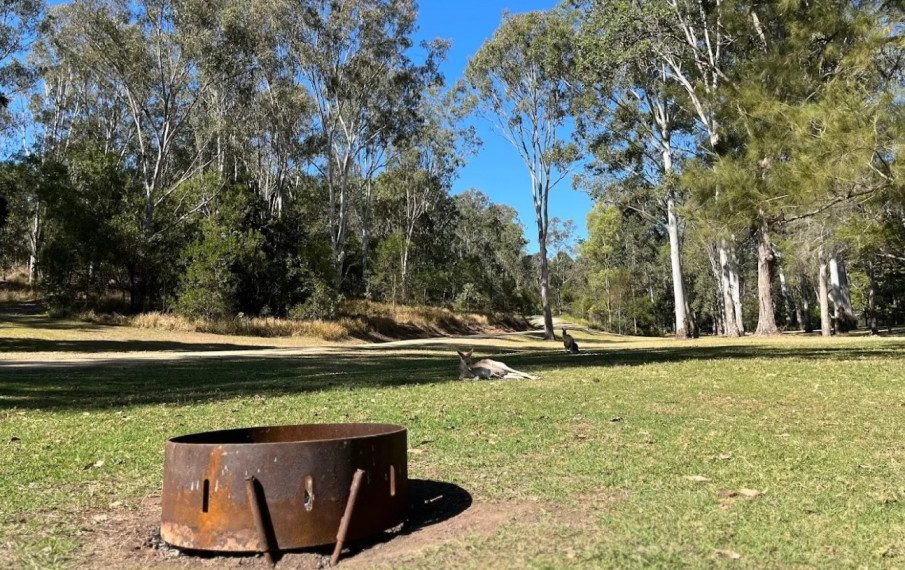 The designated fire rings at Peach Trees camping area are perfect for cooking or just enjoying a cosy evening campfire