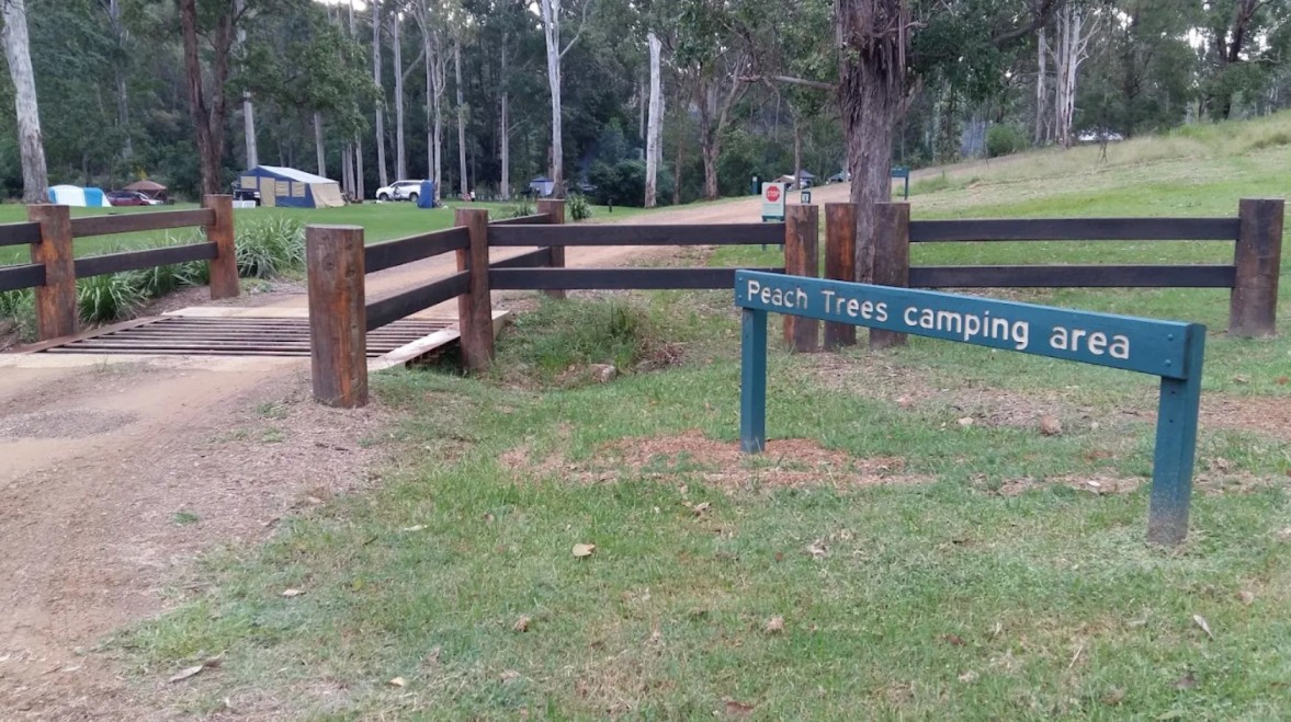 The entire Peach Trees camping area sprawls along the banks of the beautiful Yabba Creek offering a quiet open-air experience