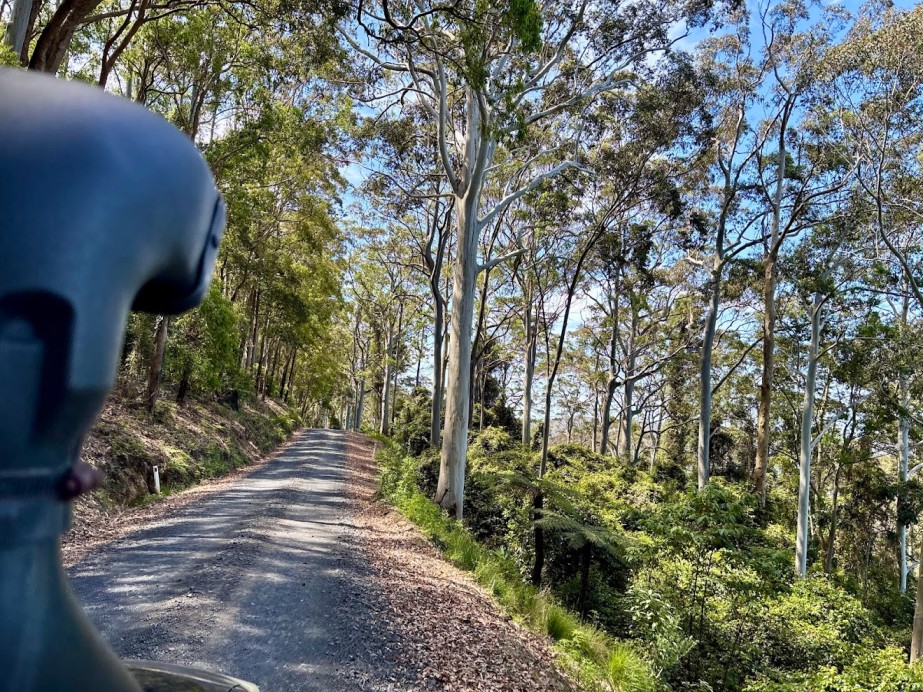 The whole area around Heaton Picnic Area Lookout is a network of dirt roads making it a 4WD haven