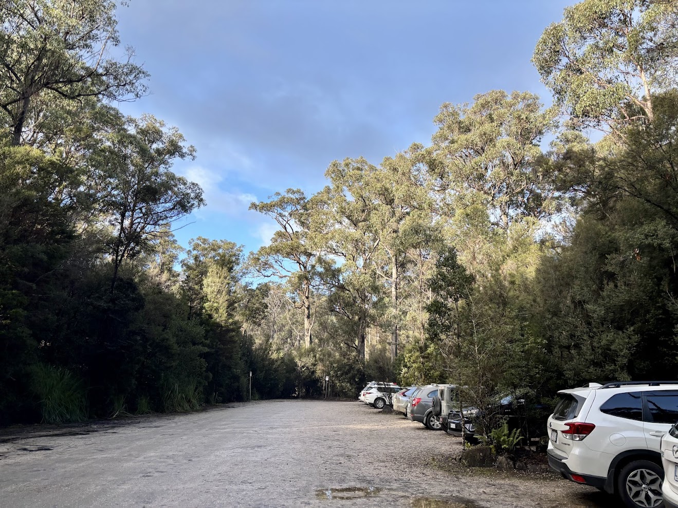 There is a large parking area at Tahune Adventures to reach the Tahune forest airwalk​