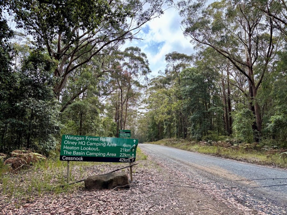 To get to The Pines Campground from Sydney enter the Watagans from the Pacific Highway onto the unsealed Watagan Forest Rd