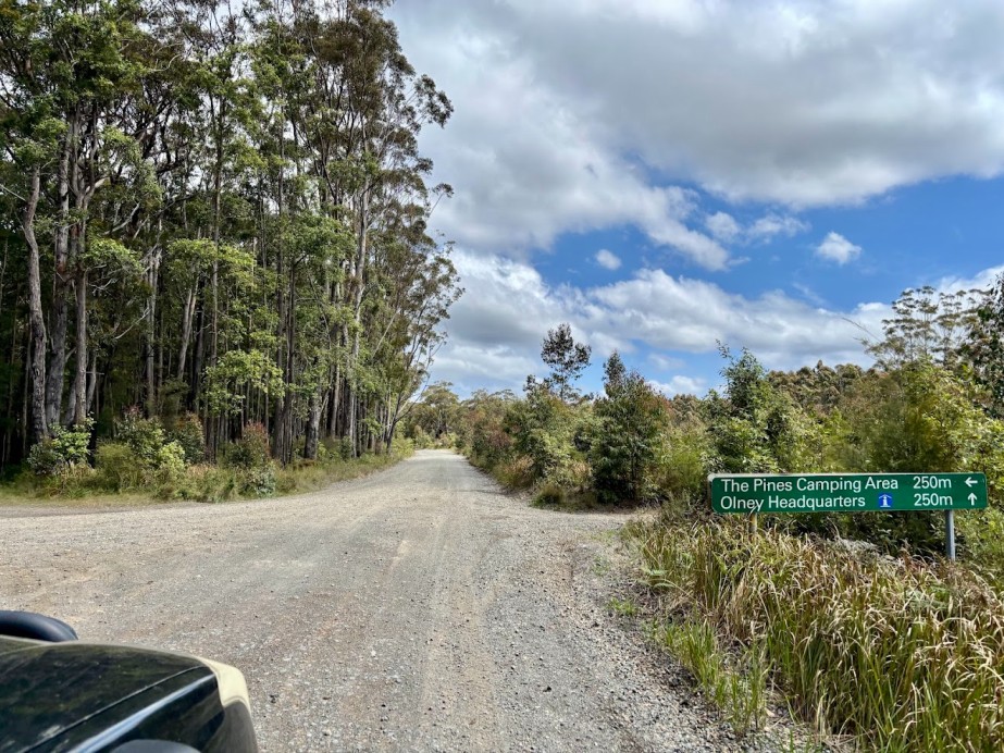 To get to the Pines Campground in the Watagans a standard high-clearance 2WD can manage in dry conditions, but a 4WD is ideal for comfort and security