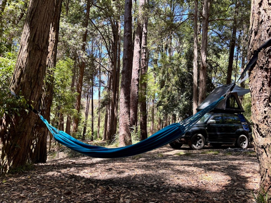 You have to find two solid trees spaced about 3 meters apart to achieve the perfect sag and height for the Kings hammock